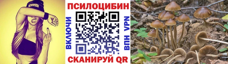 Галлюциногенные грибы ЛСД  Гдов 